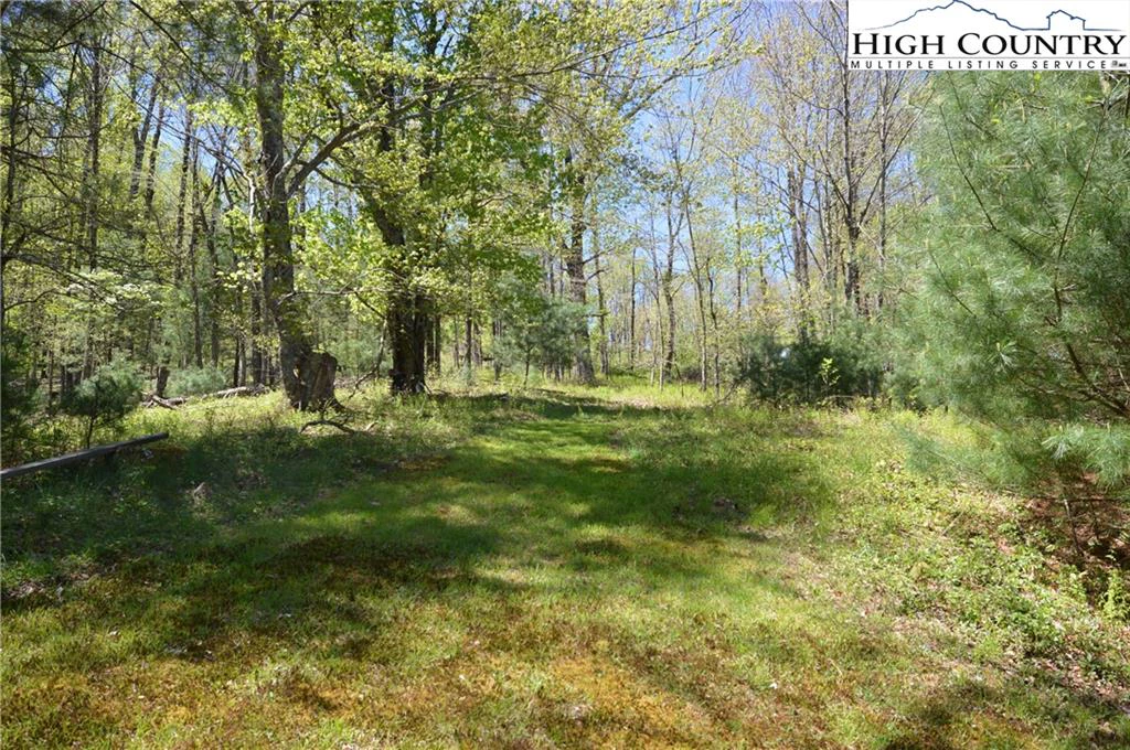 Image number 14 for the current listing