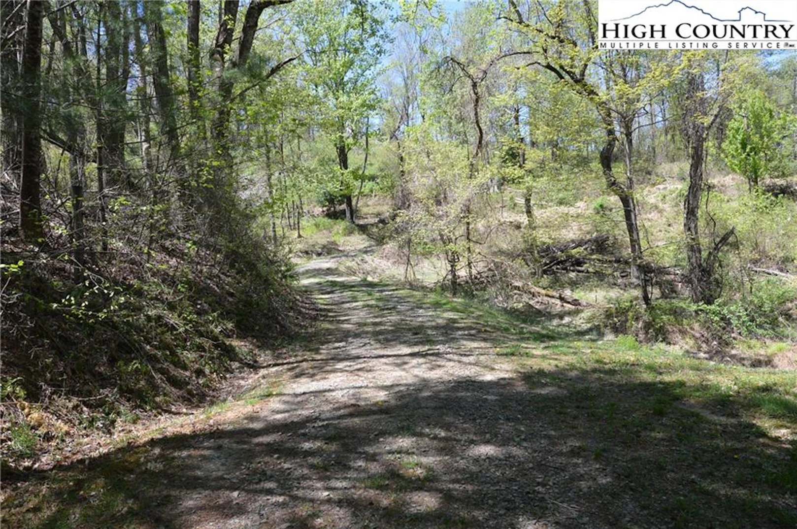 Image number 6 for the current listing