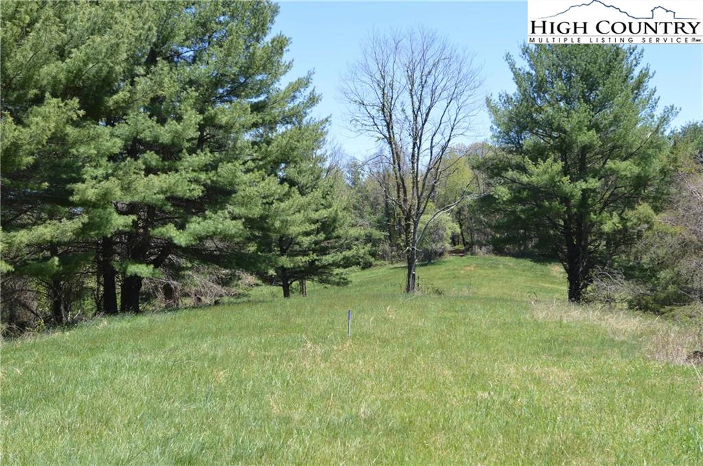 Image number 8 for the current listing