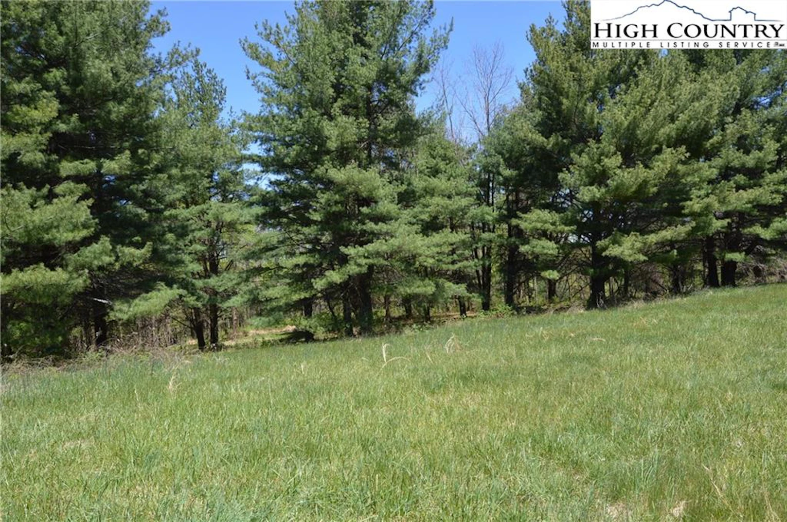 Image number 9 for the current listing