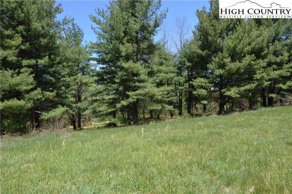 Image number 9 for the current listing