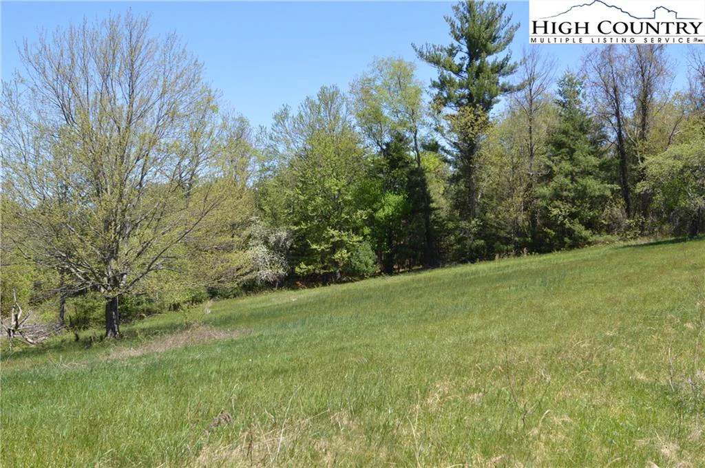 Image number 12 for the current listing