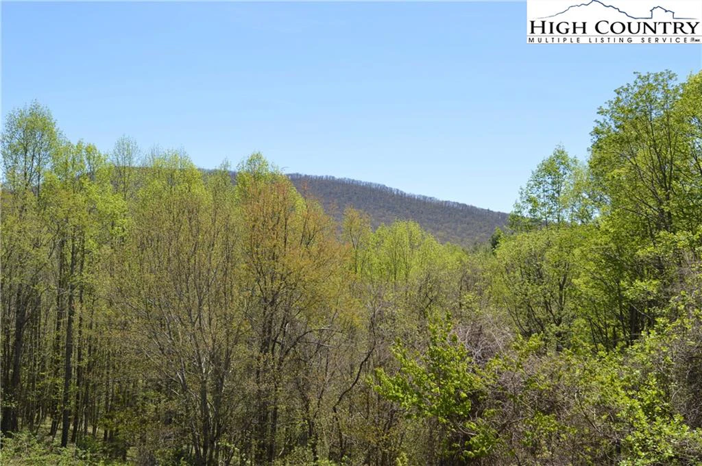 Image number 13 for the current listing