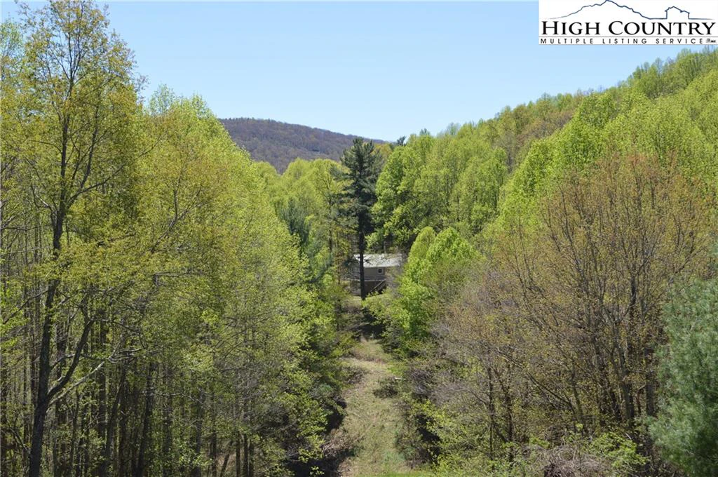 Image number 2 for the current listing