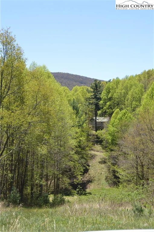 Image number 15 for the current listing