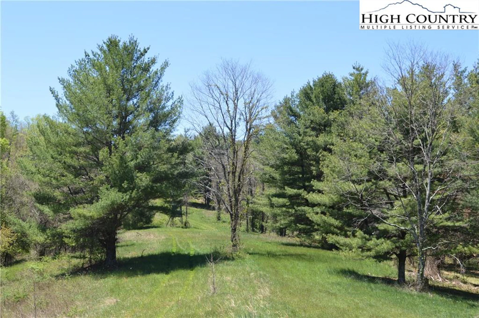 Image number 16 for the current listing