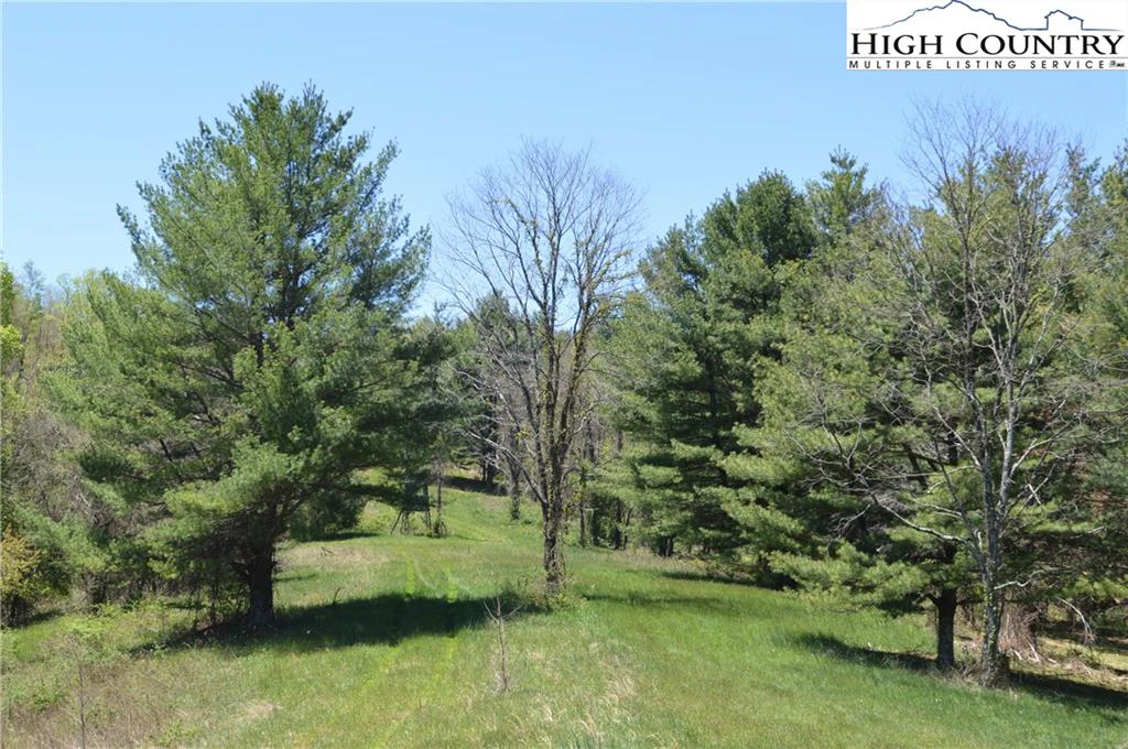 Image number 16 for the current listing