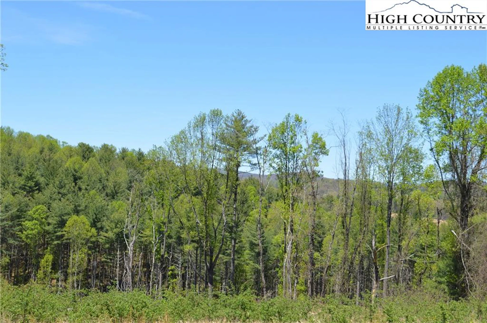 Image number 17 for the current listing