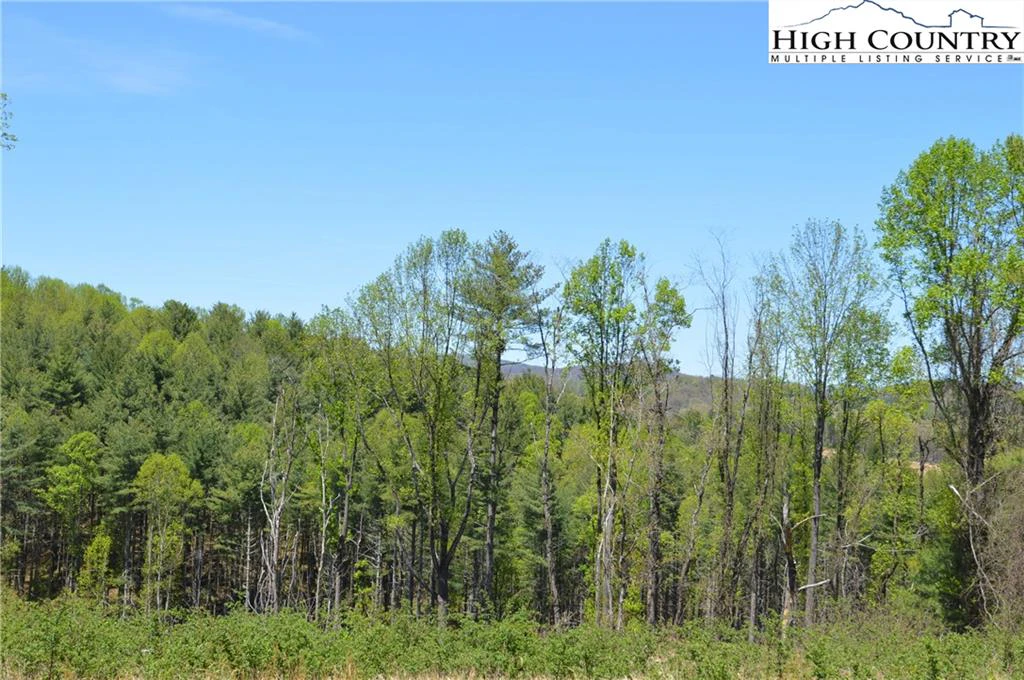 Image number 17 for the current listing