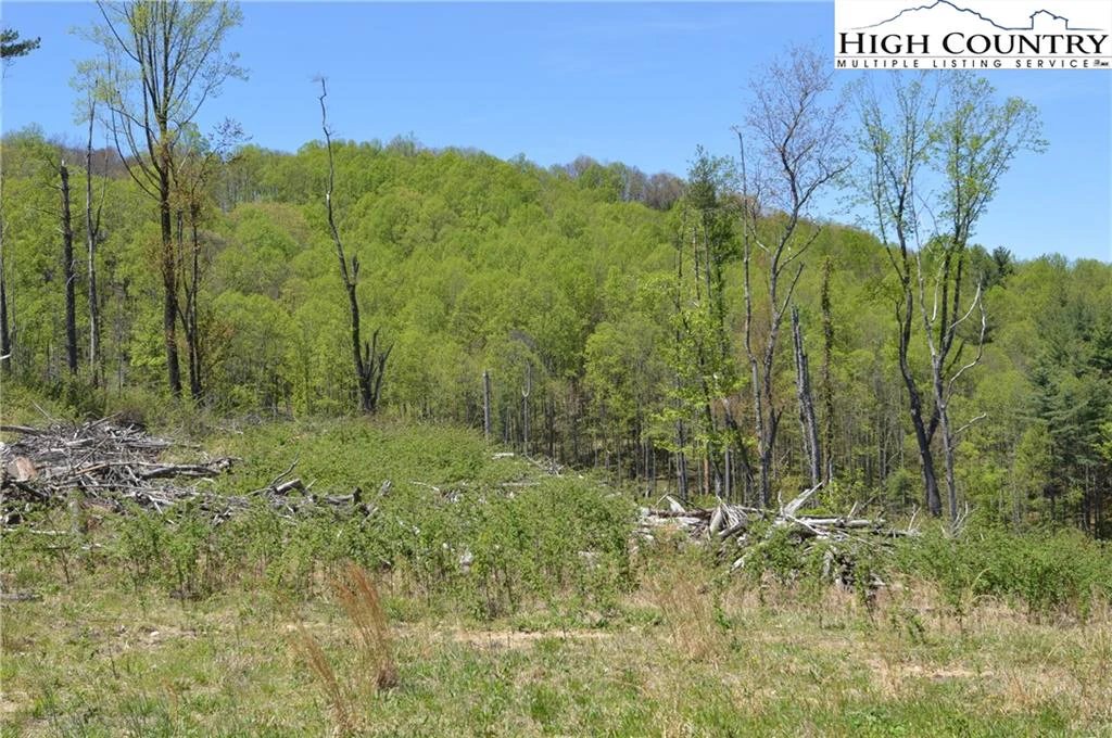 Image number 18 for the current listing