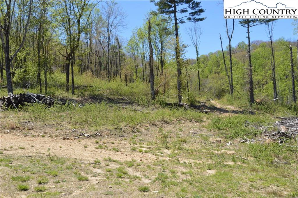 Image number 19 for the current listing