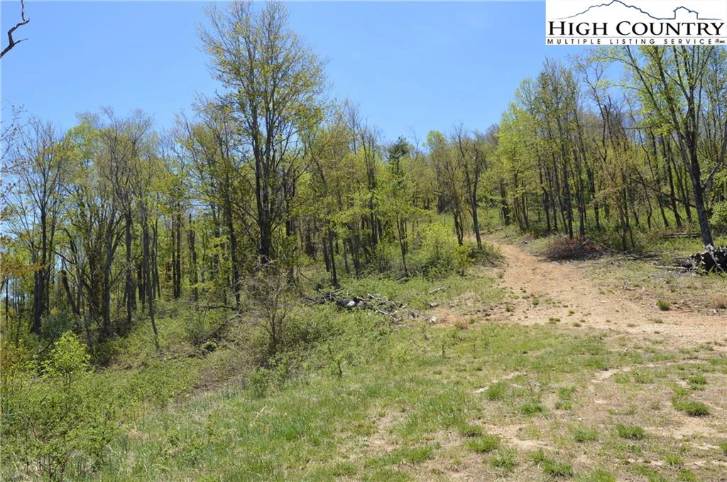 Image number 20 for the current listing
