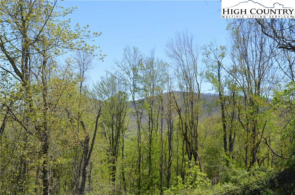 Image number 21 for the current listing