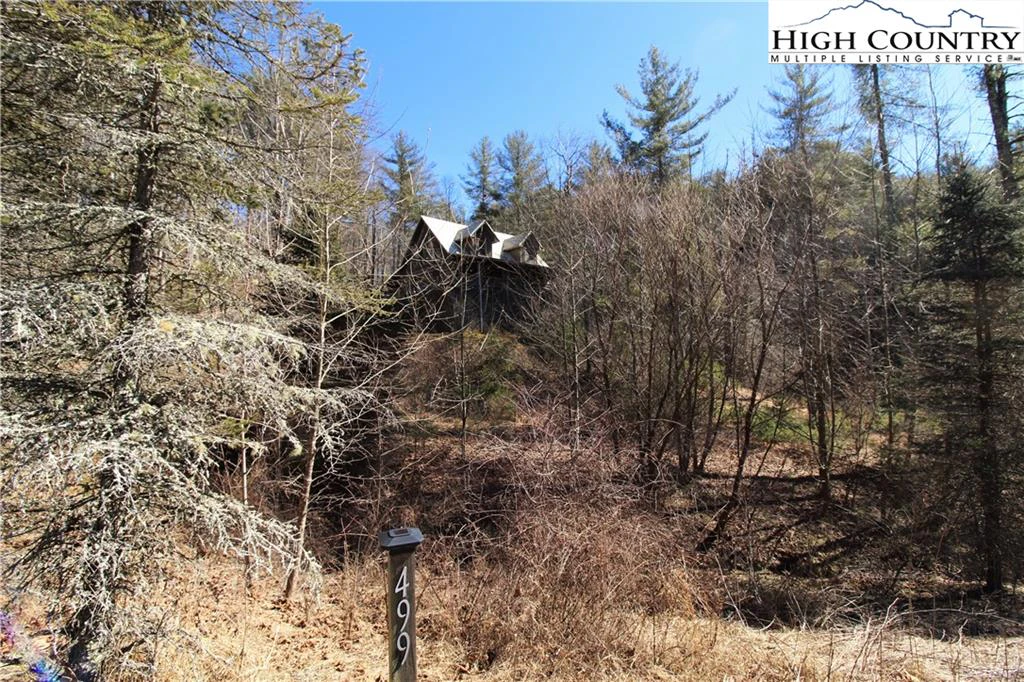 Image number 2 for the current listing