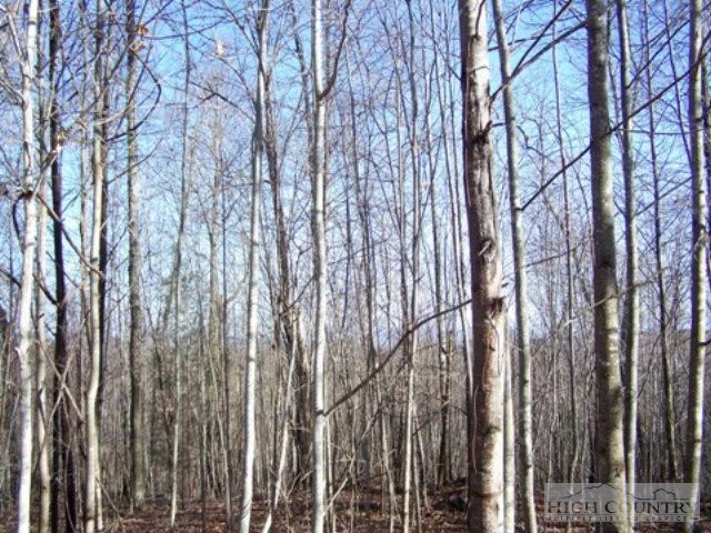 Image number 3 for the current listing