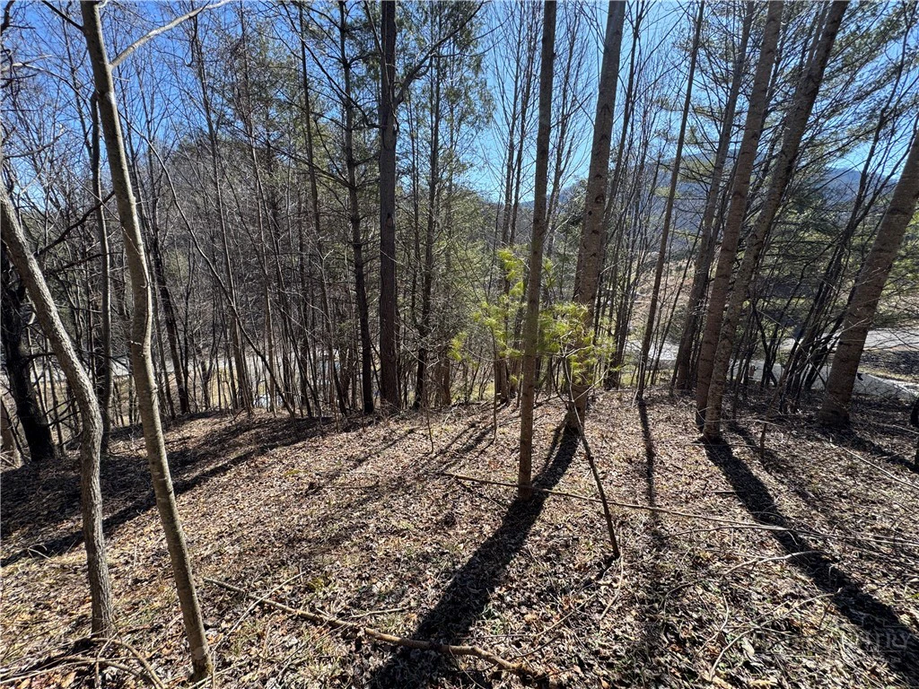 Image number 1 for the current listing