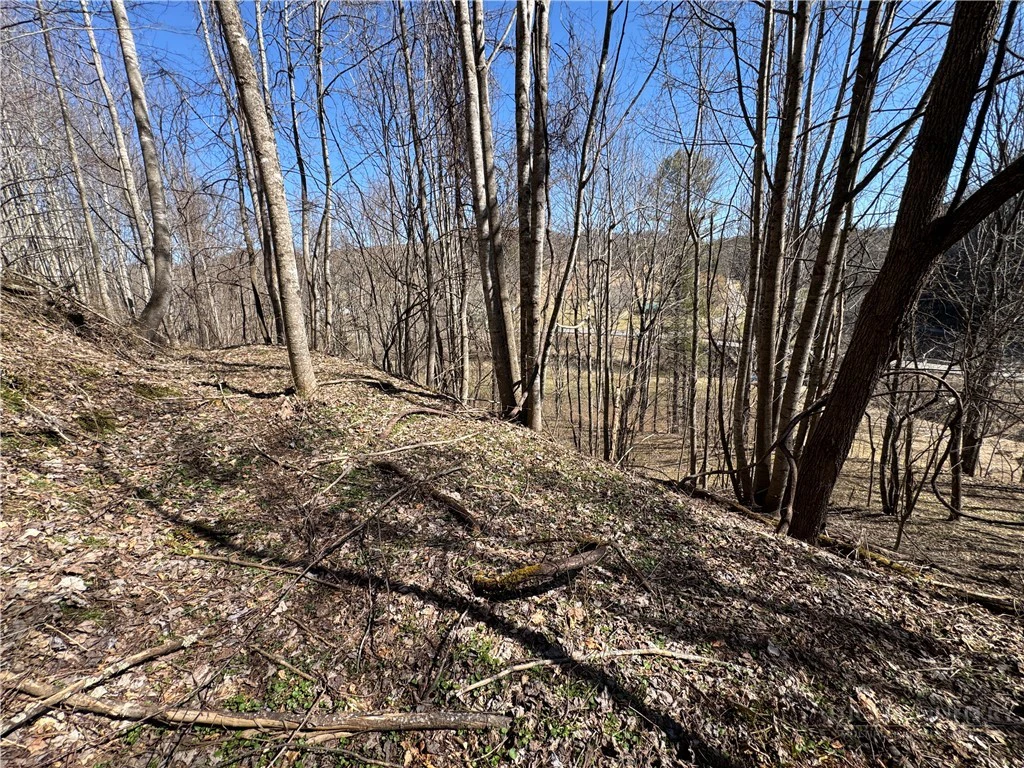 Image number 18 for the current listing