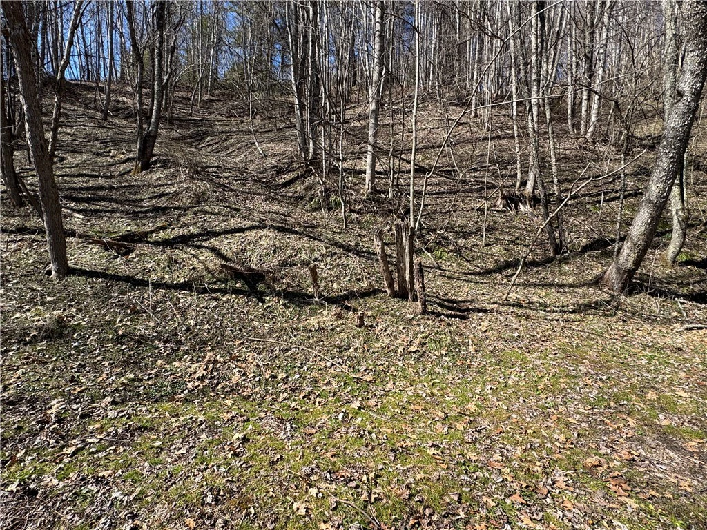 Image number 14 for the current listing
