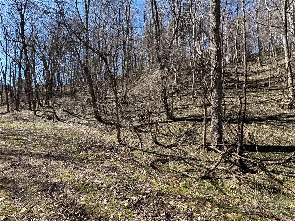 Image number 13 for the current listing