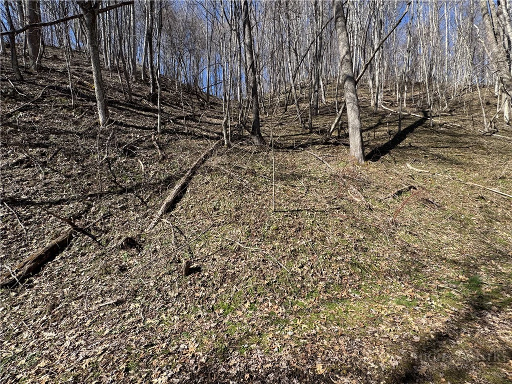 Image number 9 for the current listing