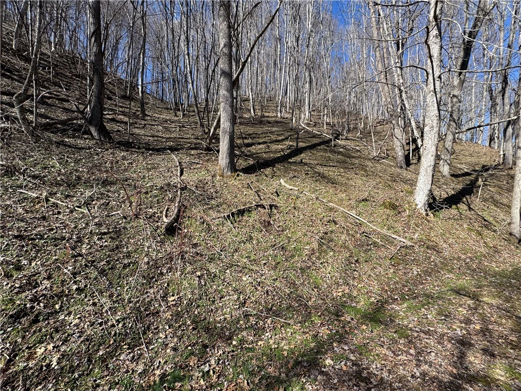 Image number 7 for the current listing