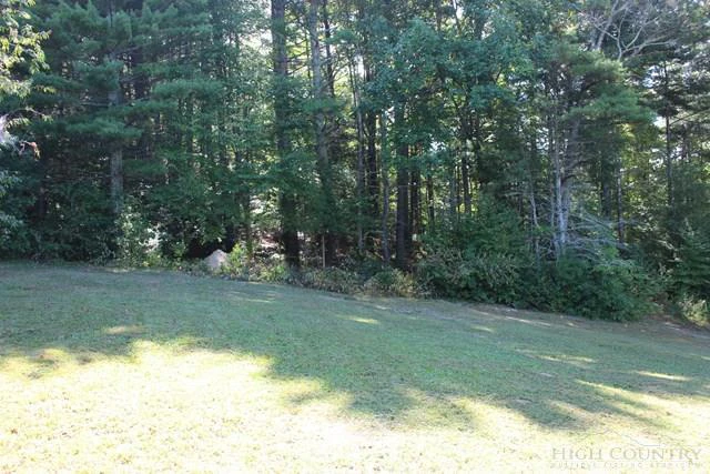 Image number 1 for the current listing