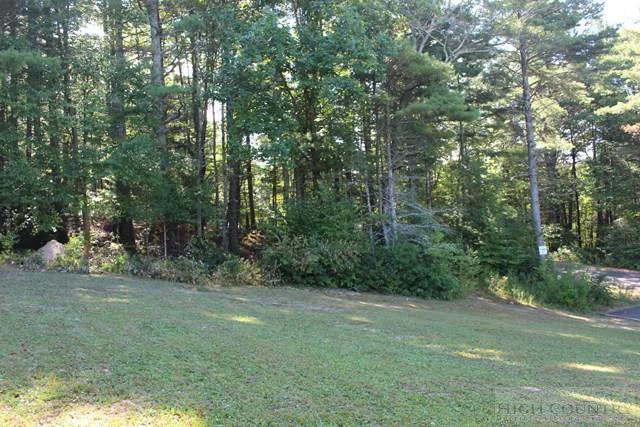 Image number 11 for the current listing