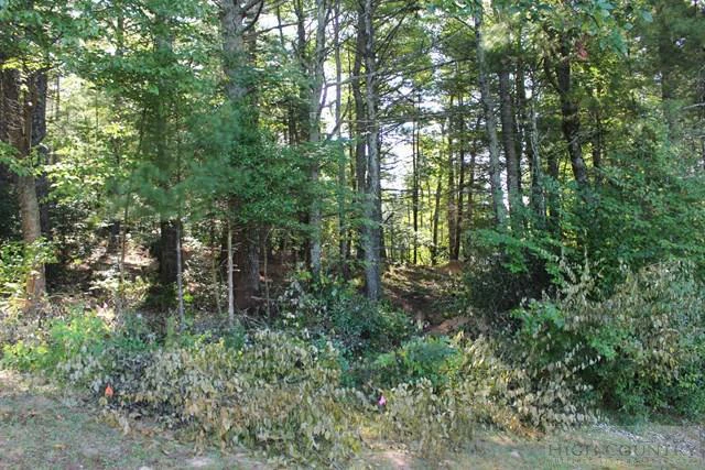 Image number 4 for the current listing
