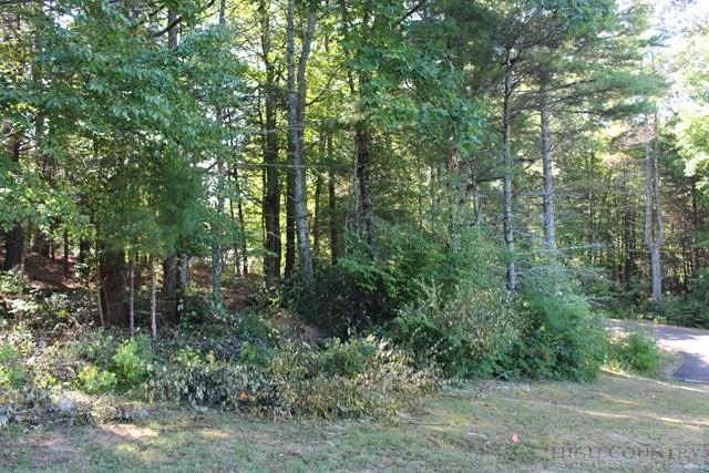 Image number 5 for the current listing