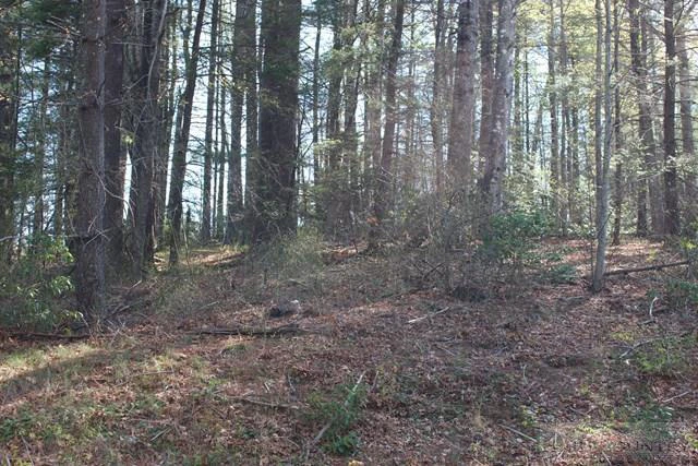 Image number 9 for the current listing