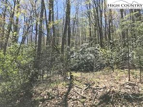Image number 3 for the current listing