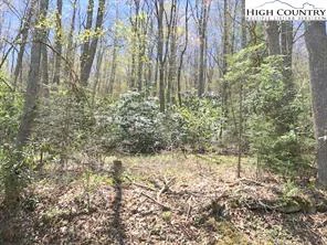 Image number 7 for the current listing