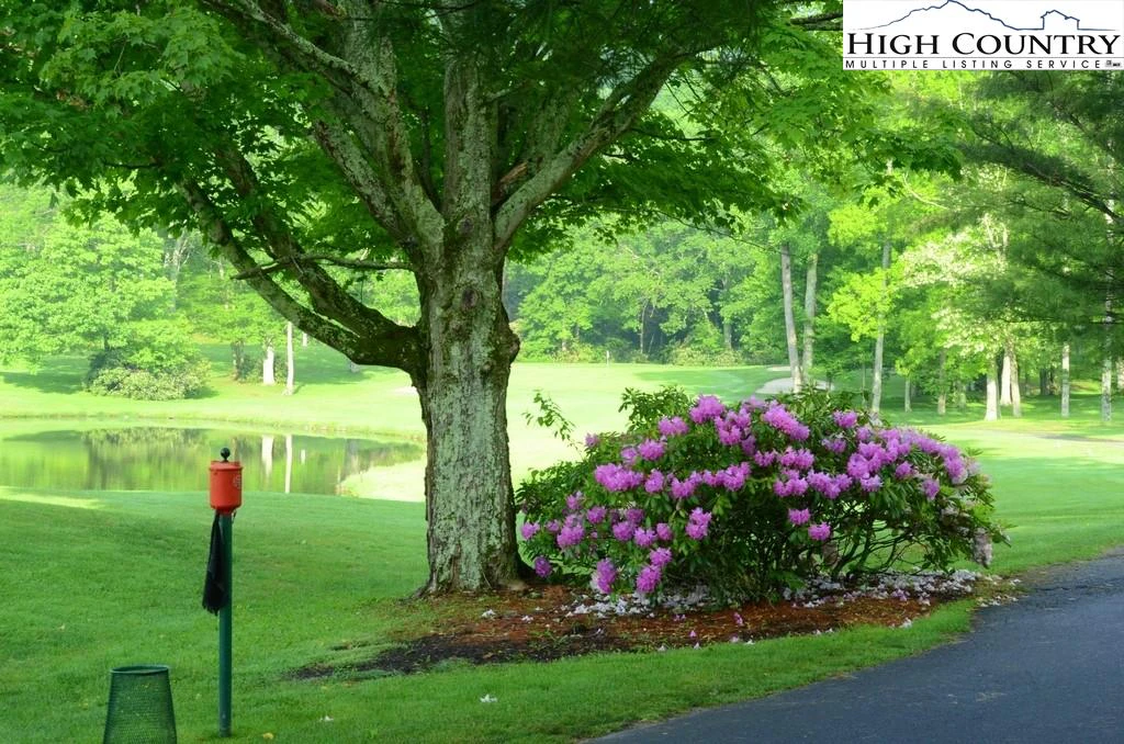 Image number 9 for the current listing