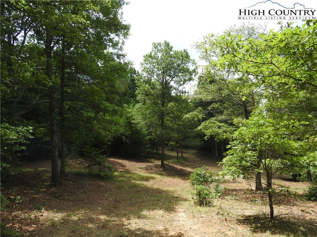 Image number 1 for the current listing
