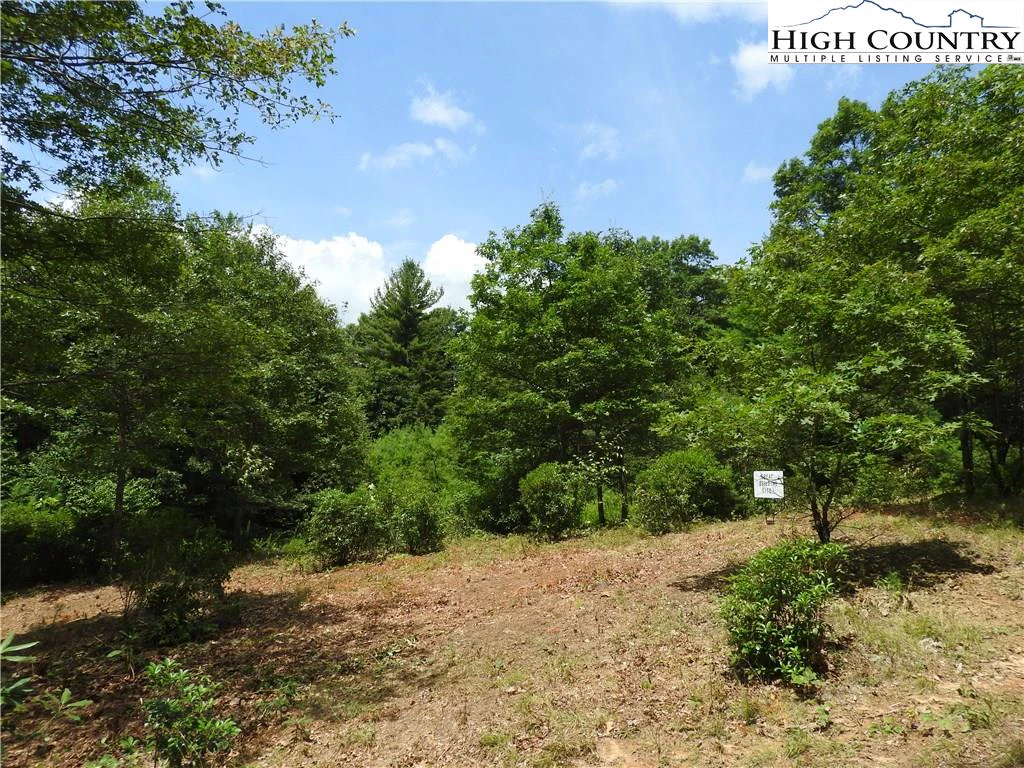 Image number 11 for the current listing