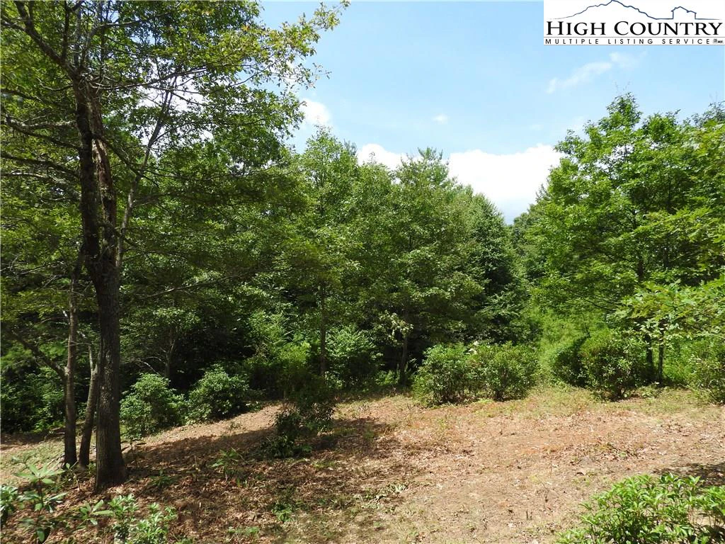 Image number 10 for the current listing