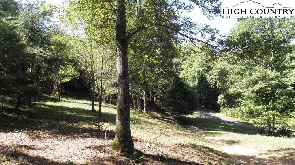 Image number 9 for the current listing