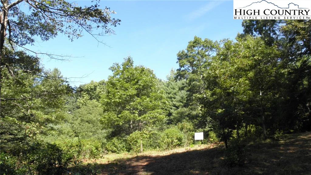Image number 8 for the current listing