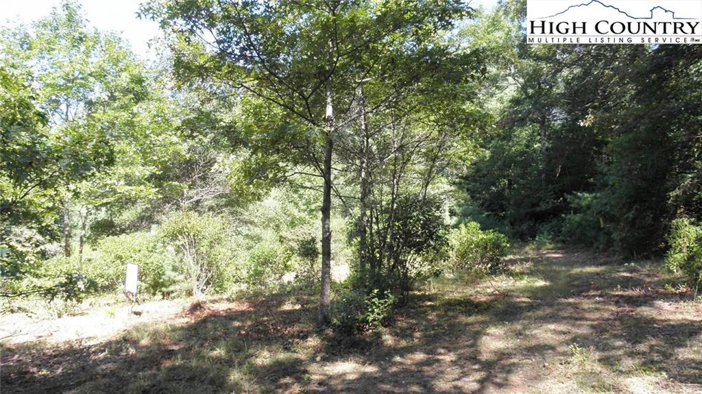 Image number 7 for the current listing