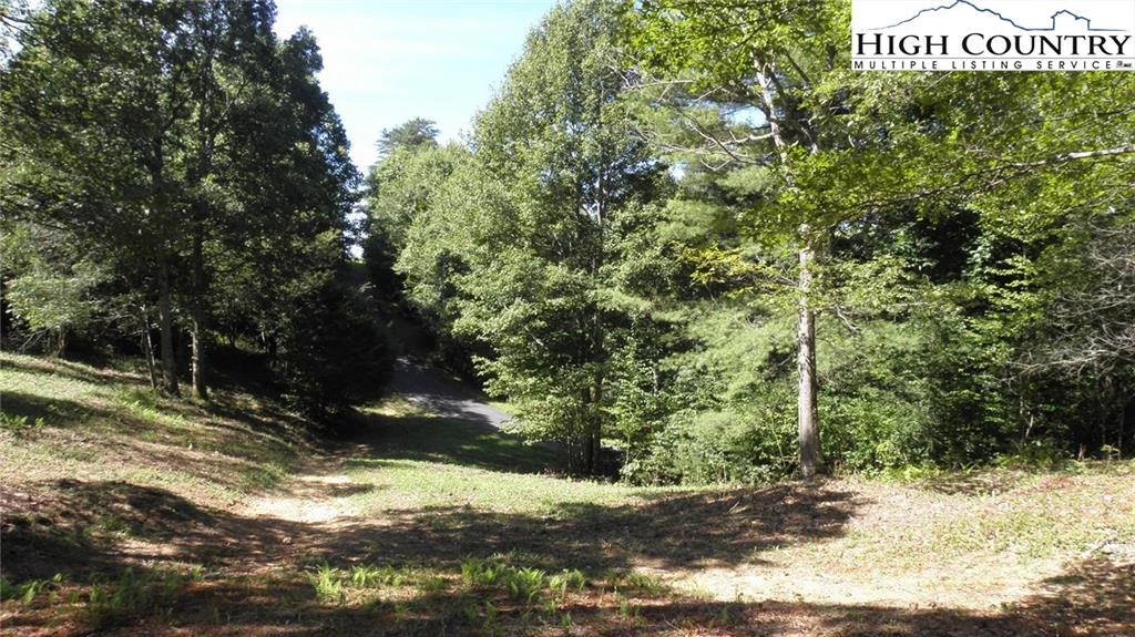 Image number 5 for the current listing