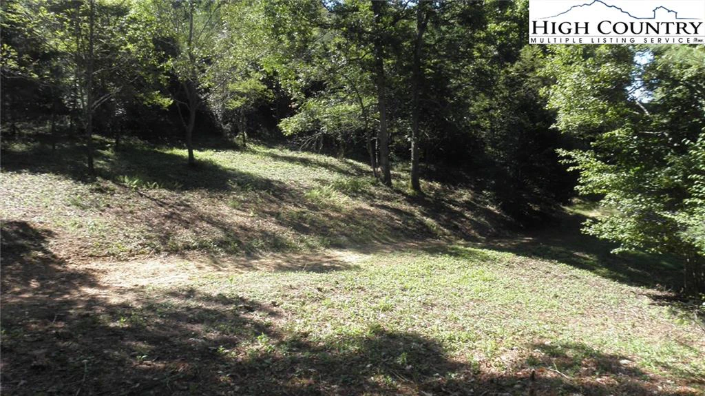 Image number 4 for the current listing