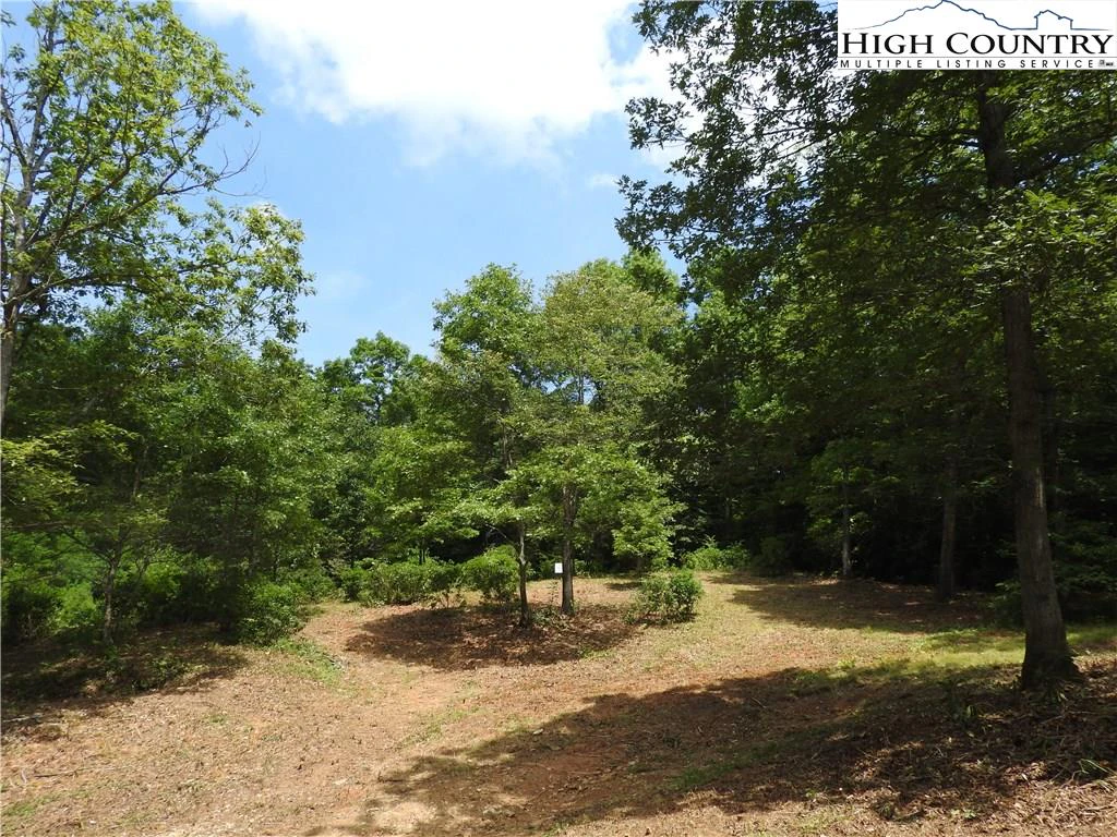 Image number 18 for the current listing