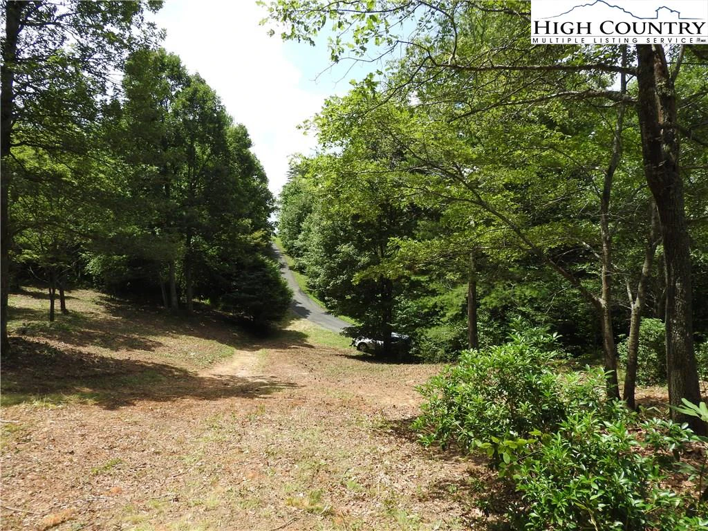 Image number 17 for the current listing