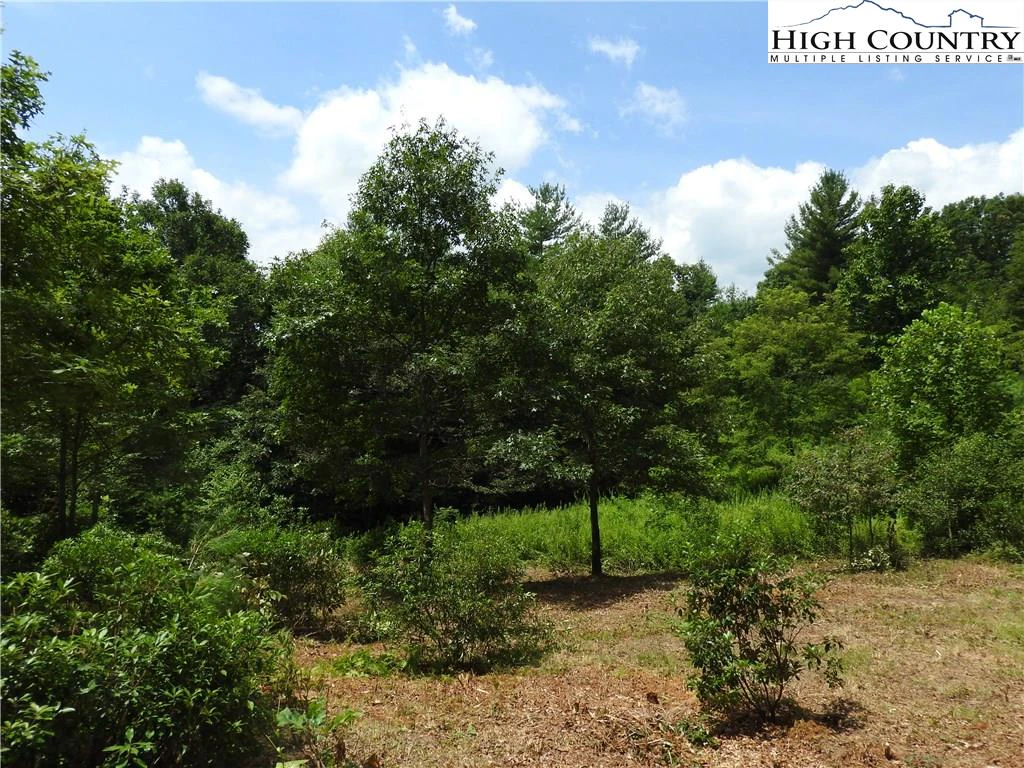 Image number 16 for the current listing