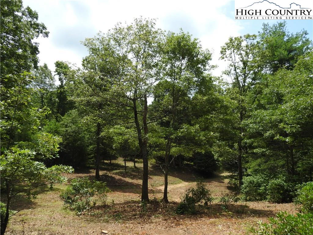 Image number 15 for the current listing