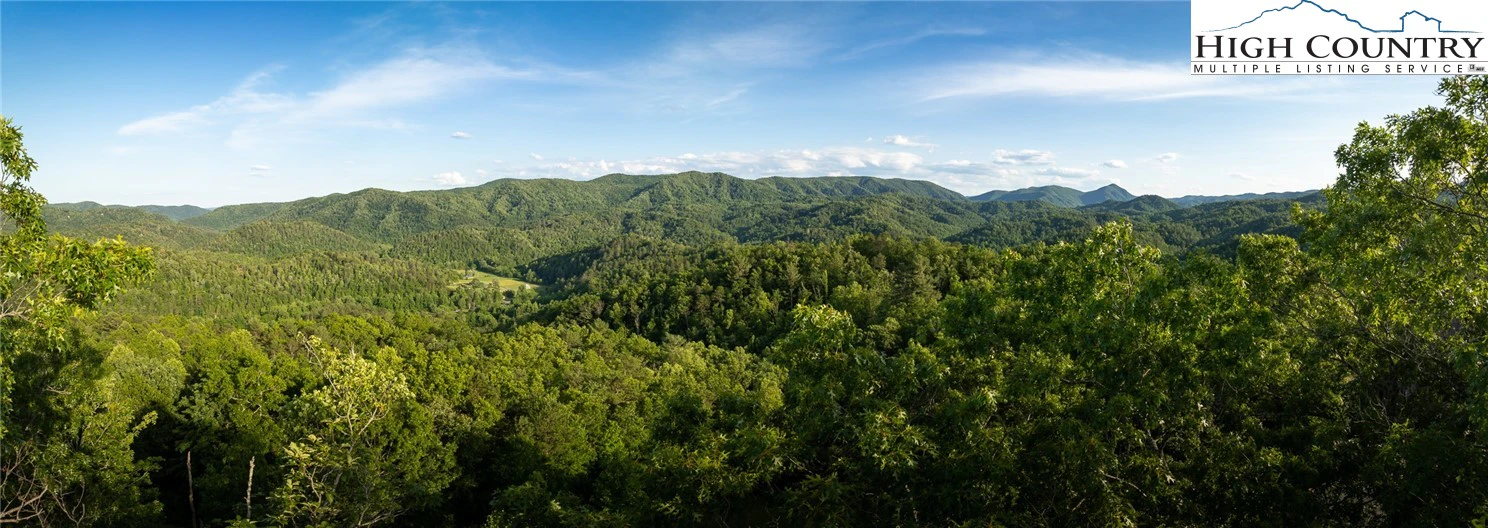 Image number 1 for the current listing