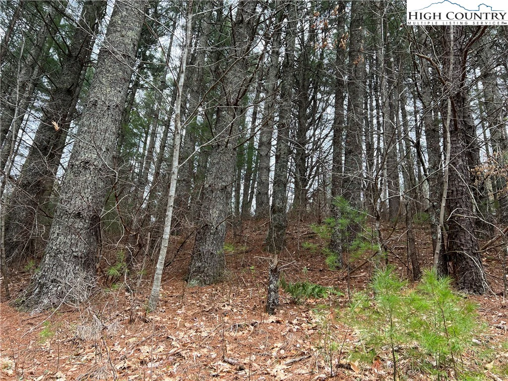 Image number 1 for the current listing