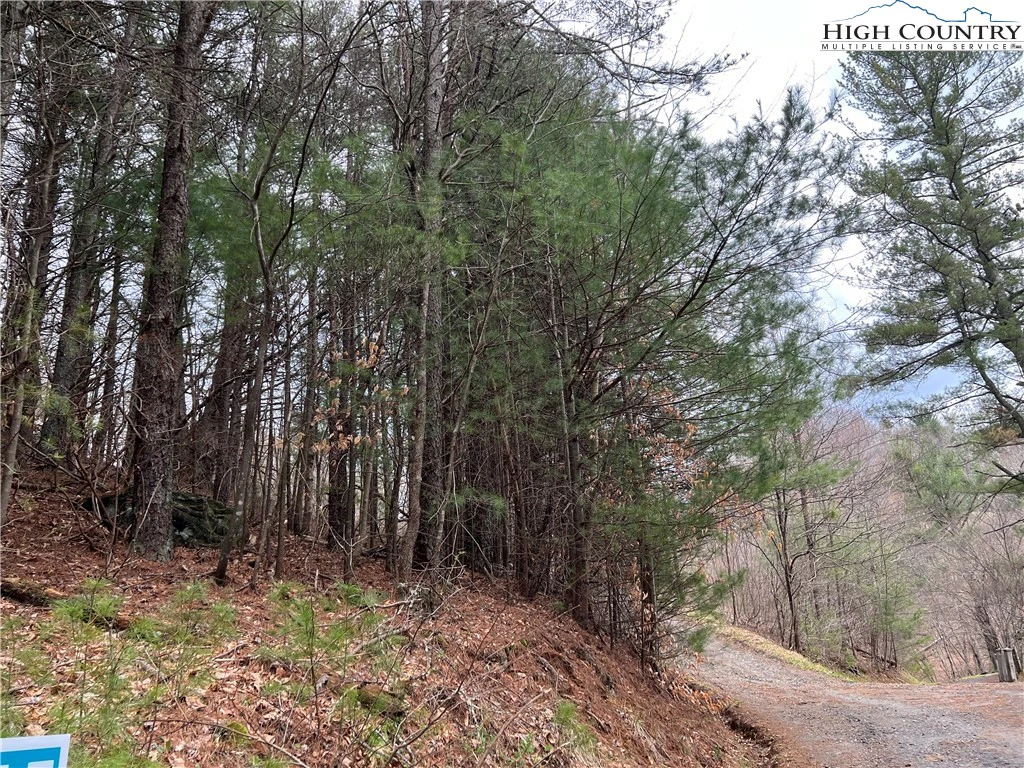 Image number 3 for the current listing