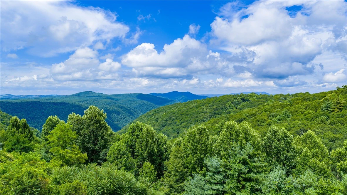 Image number 18 for the current listing