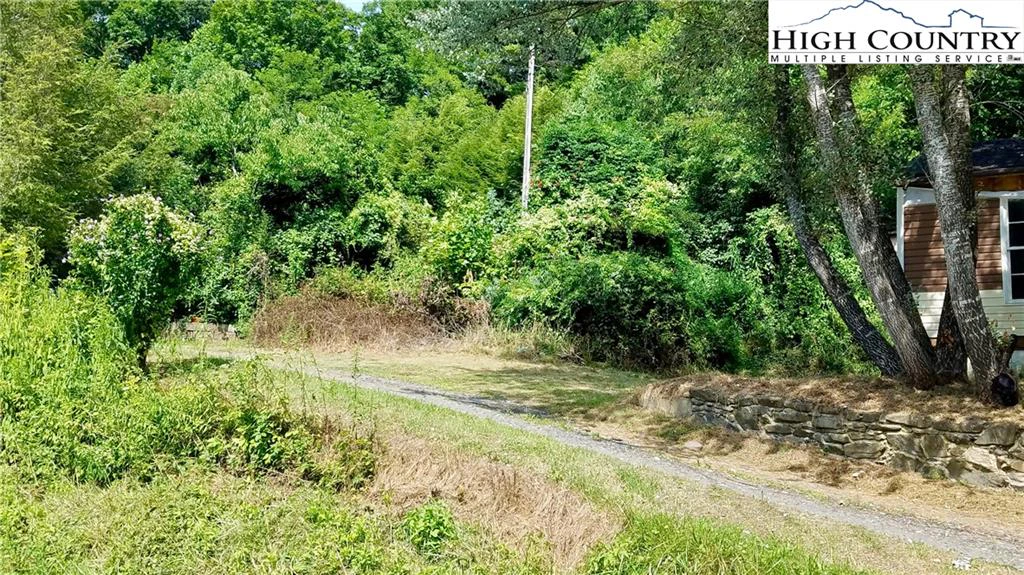 Image number 14 for the current listing